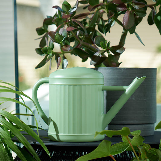 WATERING CAN - SAGE 2 litre