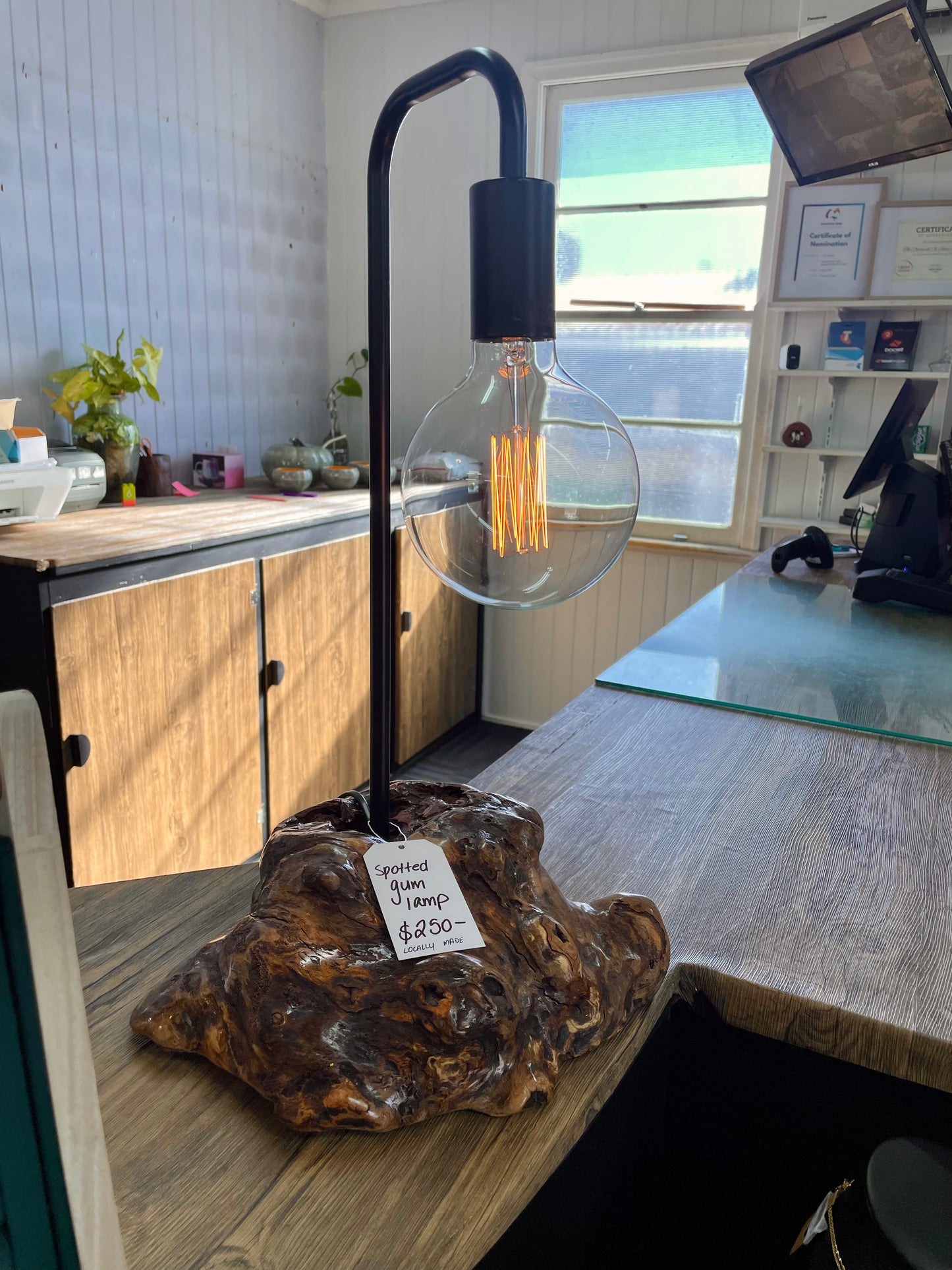 Spotted Gum Burl Lamp
