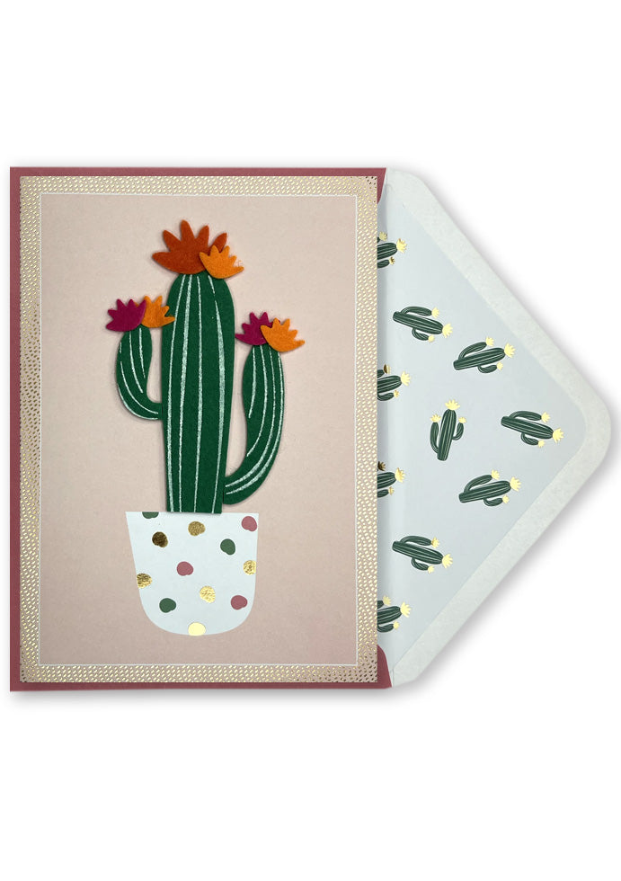 Blank Card | Cactus with Coloured flowers