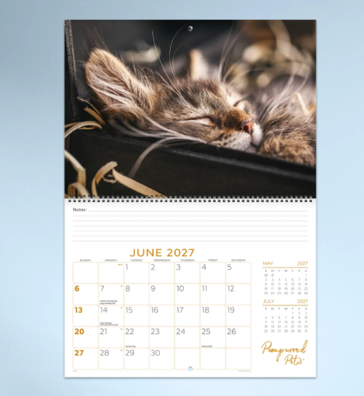 *PREORDER Pampurred Pets Calender