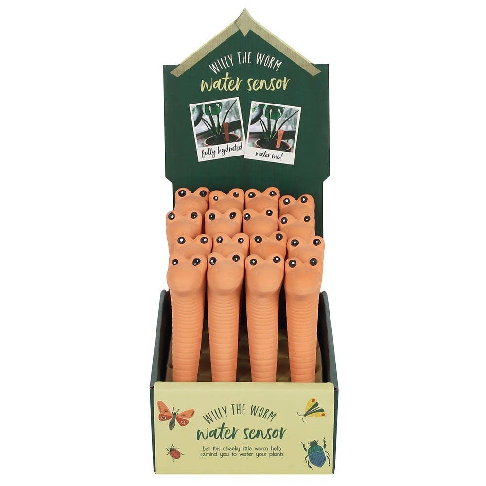 Large Willy the Terracotta Worm