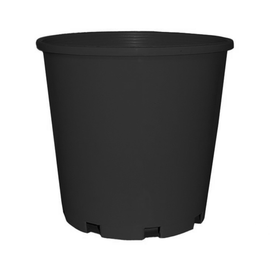 200mm Standard Pot 4.5L