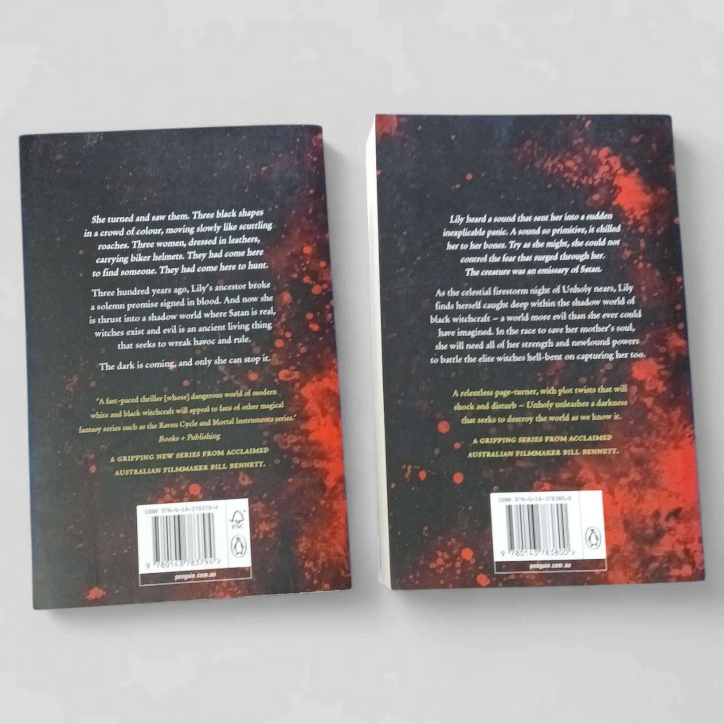 Palace of Fires Series by Bill Bennett | Set of 2