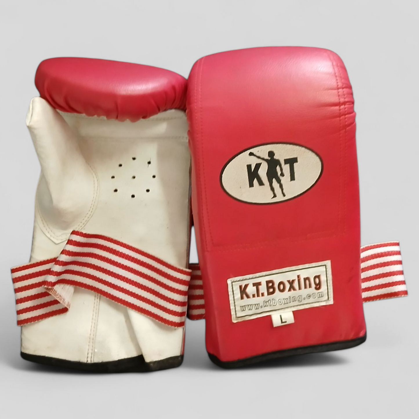 (L) KT Boxing Gloves