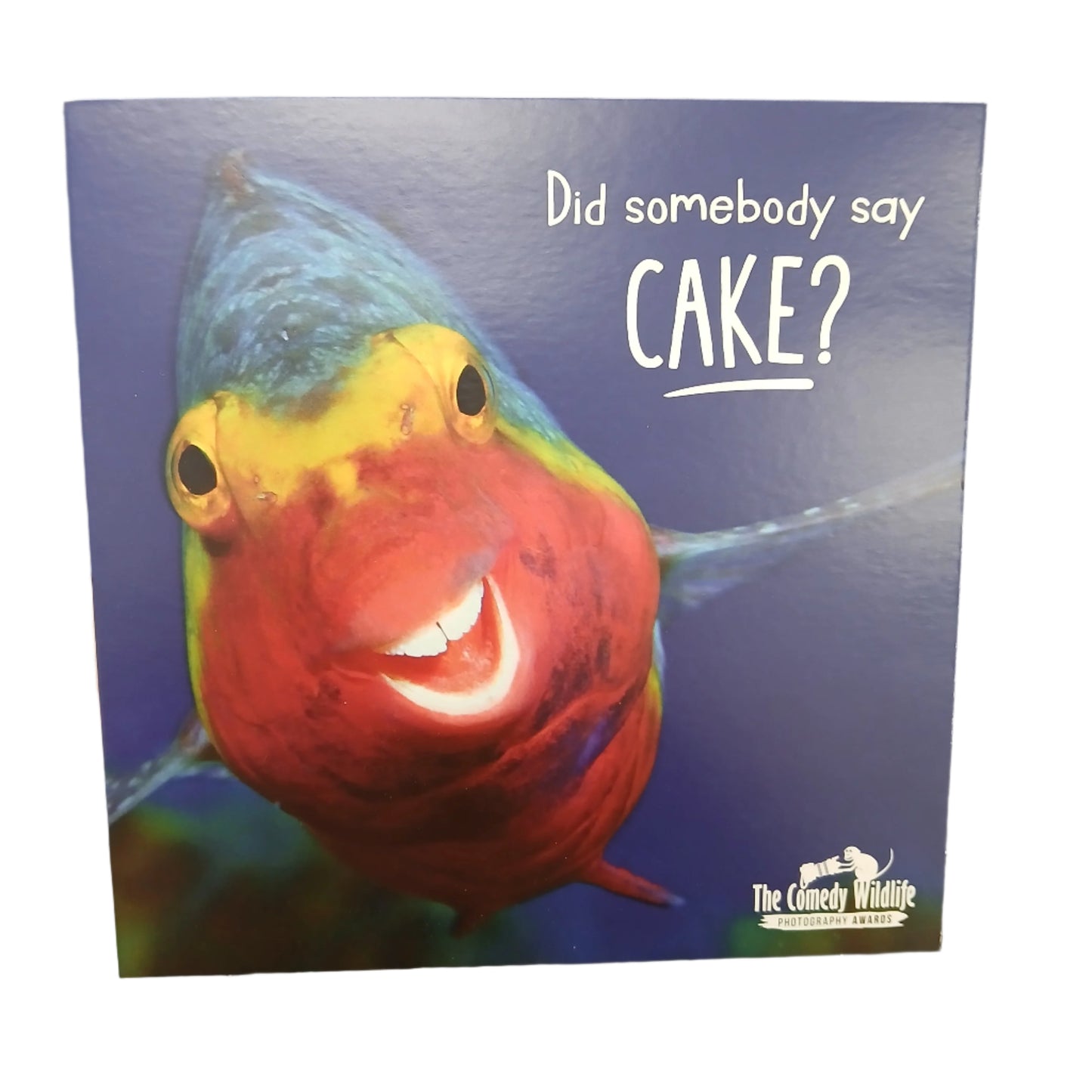 Birthday Card | Humour/Fish - Did somebody say cake?