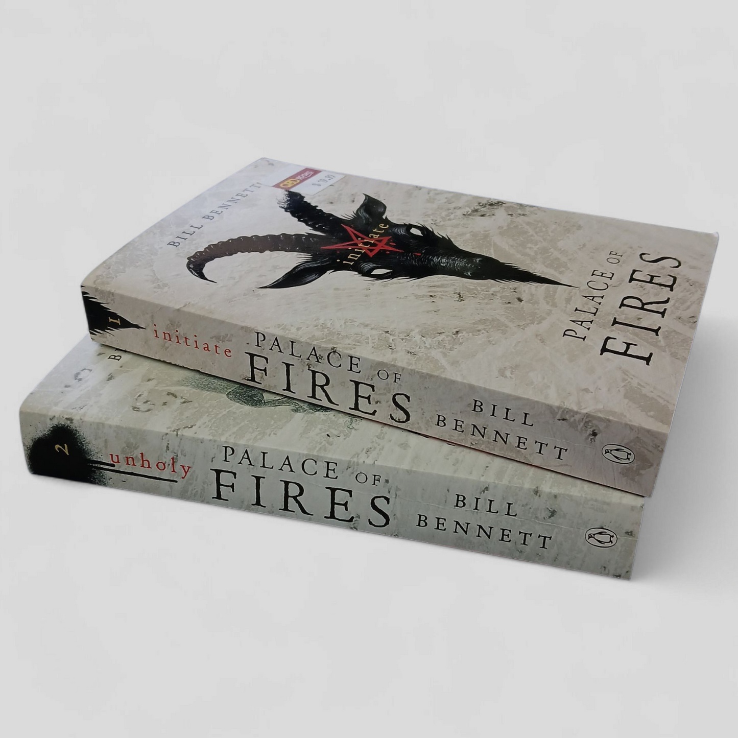 Palace of Fires Series by Bill Bennett | Set of 2