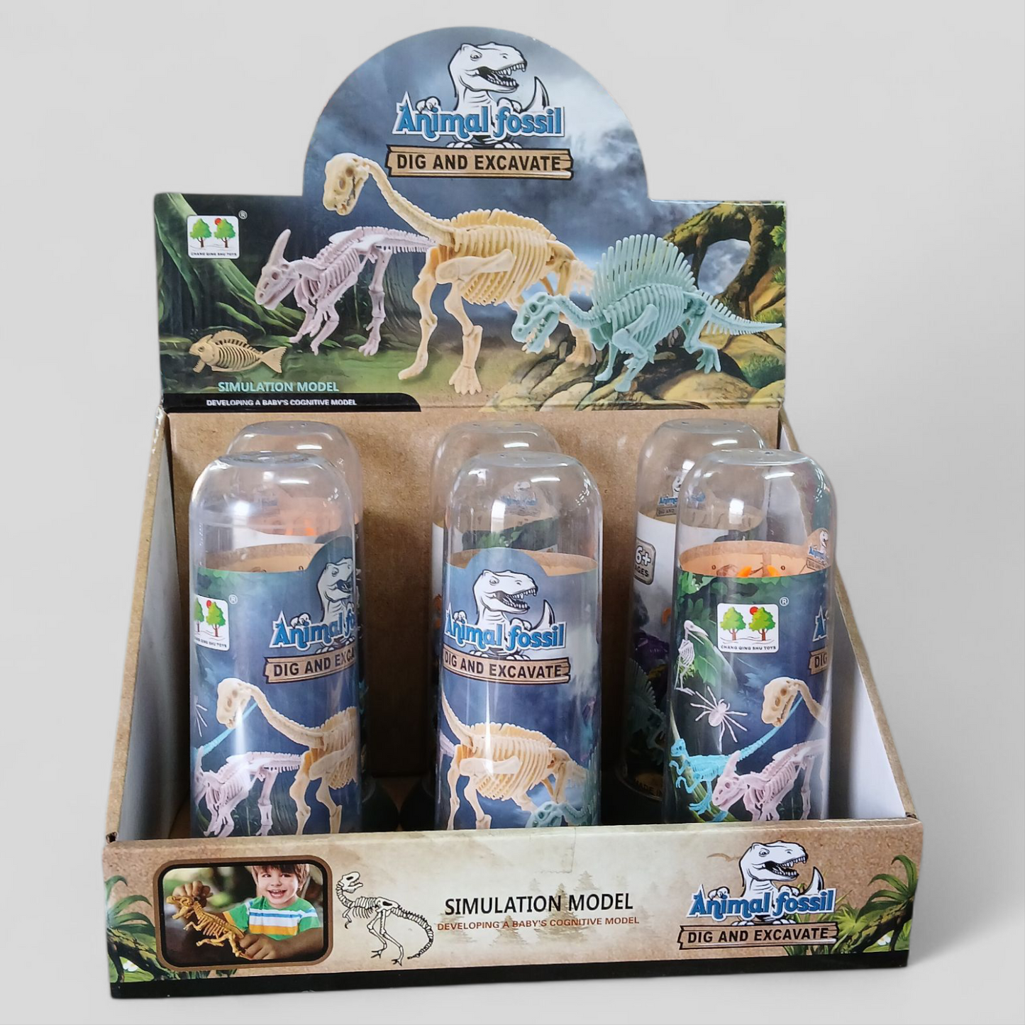 Prehistoric Fossel Model EA Assorted