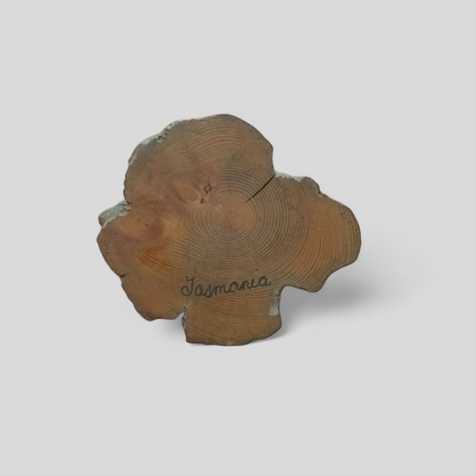 Tasmania Magnet