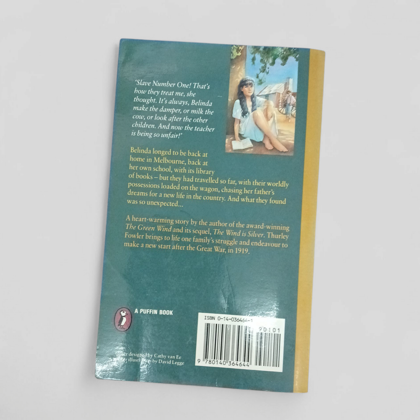 Journey to a Dream by Thurley Folwer