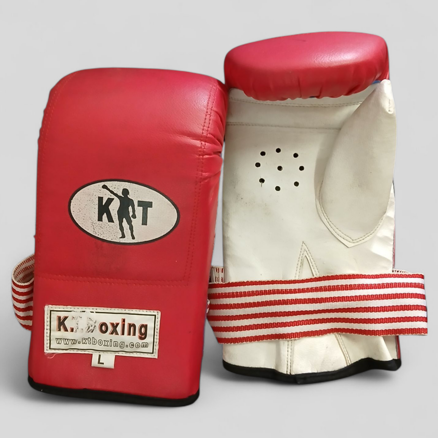 (L) KT Boxing Gloves