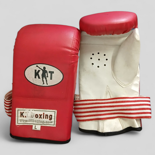 (L) KT Boxing Gloves