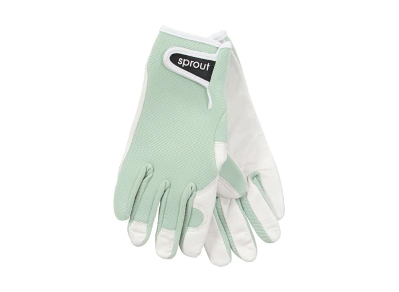 Sprout Goatskin Gloves