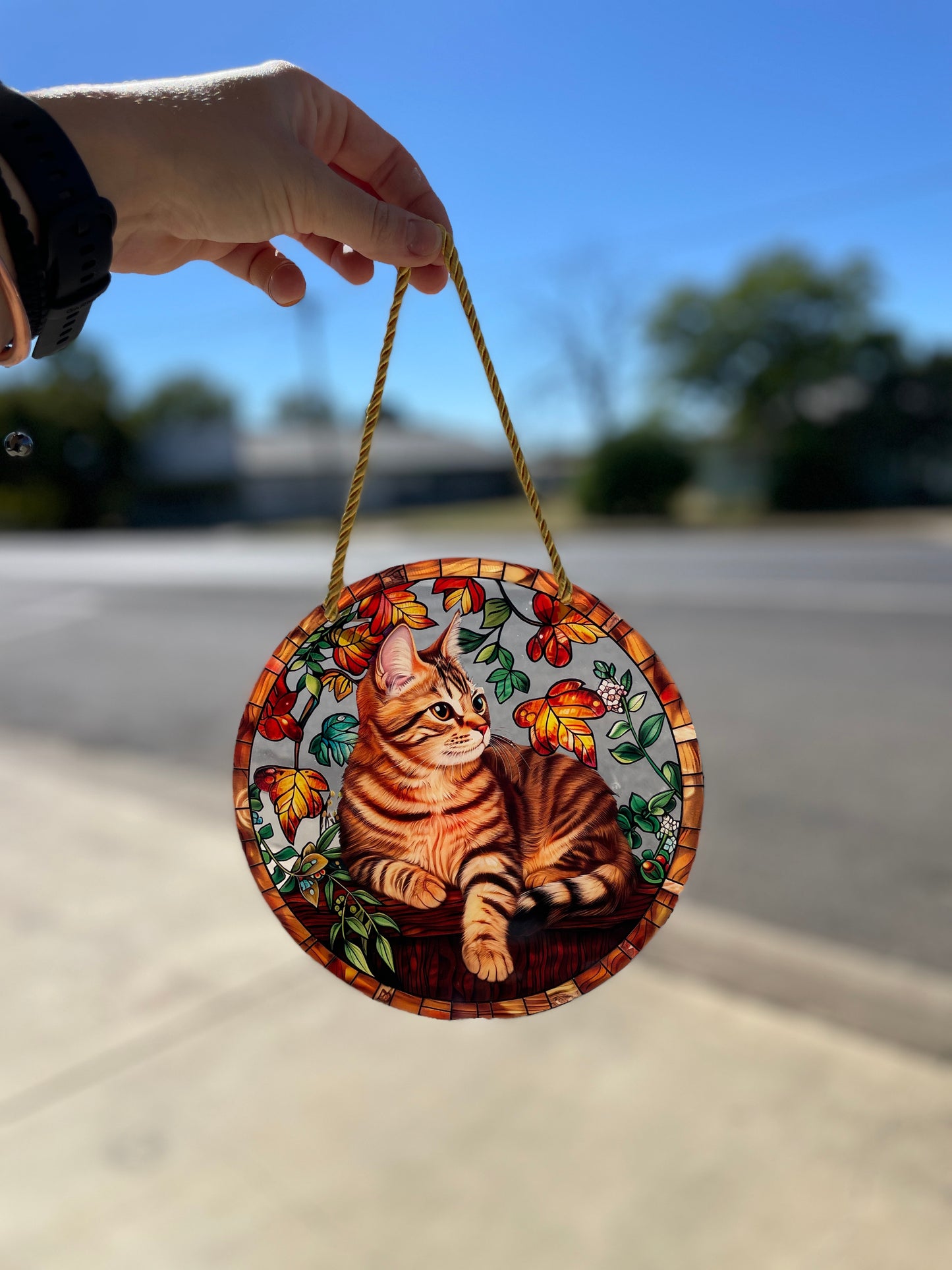 Orange Cat | Suncatcher