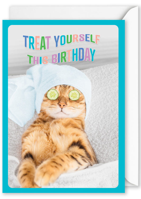 Birthday Card | “Treat Yourself This Birthday” Cat