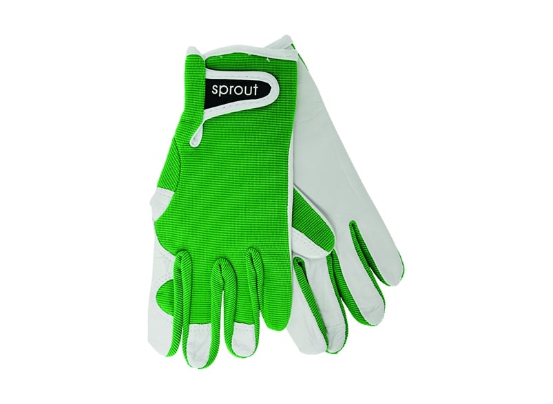 Image of Sprout Goatskin Gloves