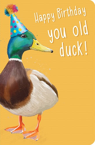 Birthday Card | Old Duck Humour