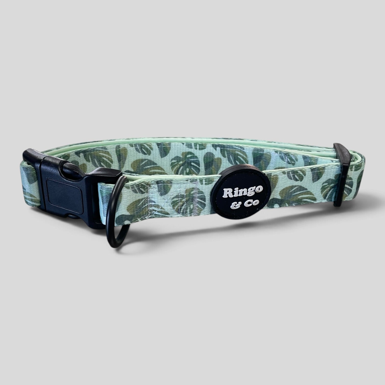 Image of Ringo & Co Dog Collar | BNWOT