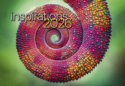 CALENDAR 2026 EASY2C A4 STITCHED