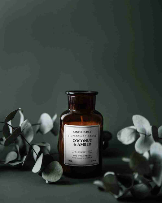 Coconut & Amber | Dispensary 6.5oz | Lanterncove