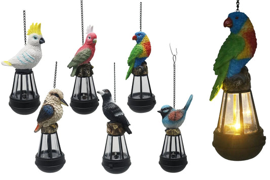 Australian Bird Solar Lantern Asstd