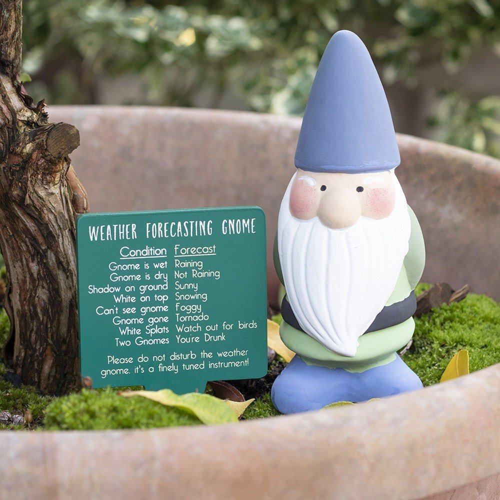 Image of Weather Forecasting Gnome