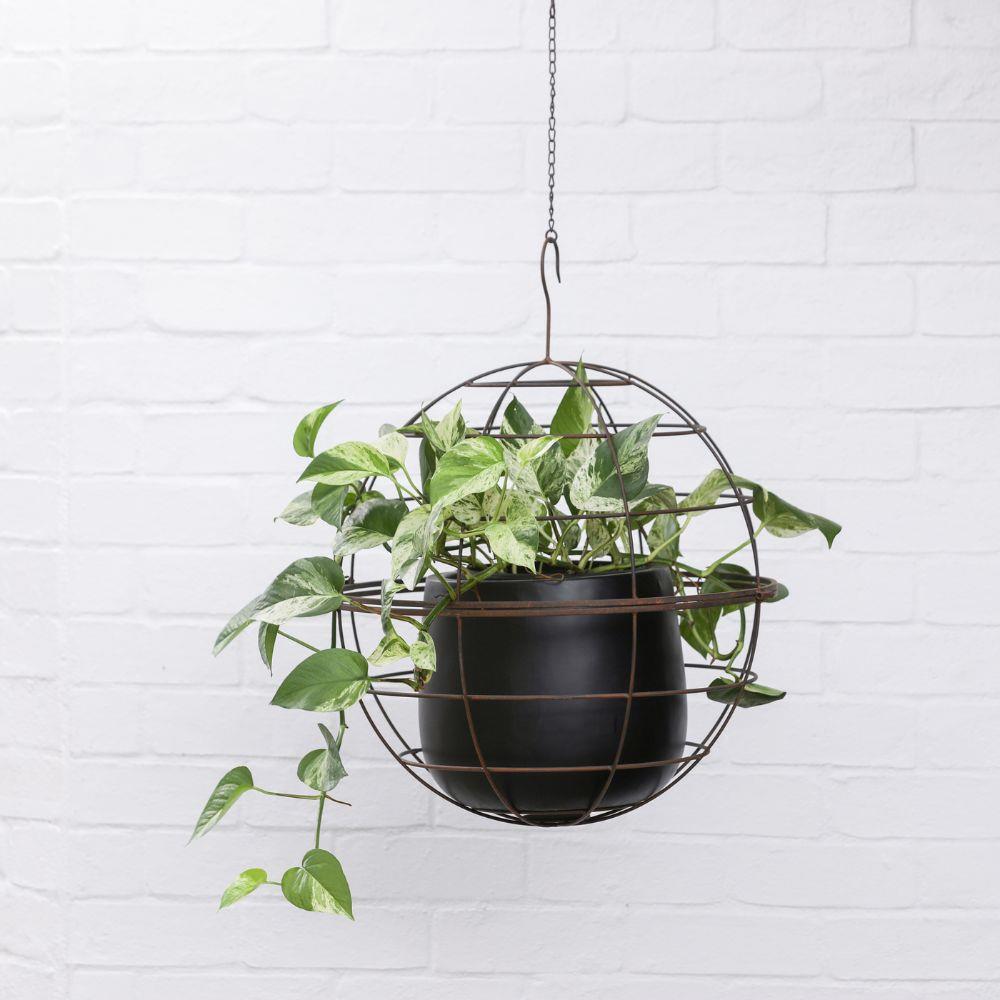 Metal Ball Pot Holder Hanger No.2 - 35cm