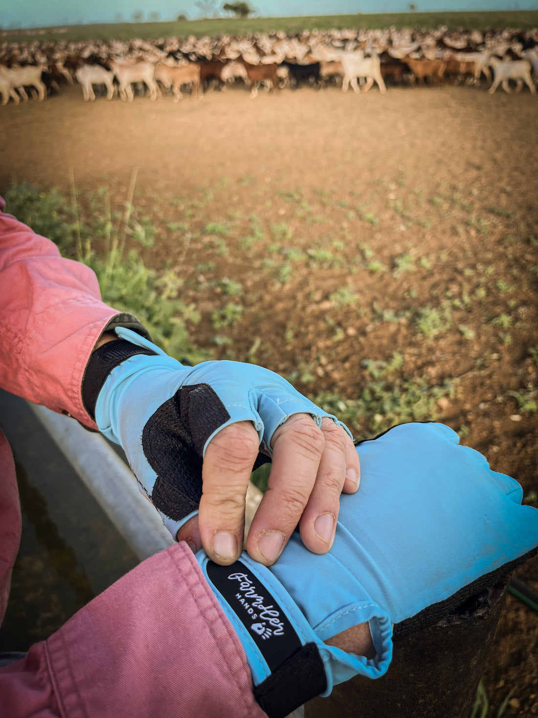 Image of FarmHER Hands | 'Dusty Blue' | UPF50+ Gloves