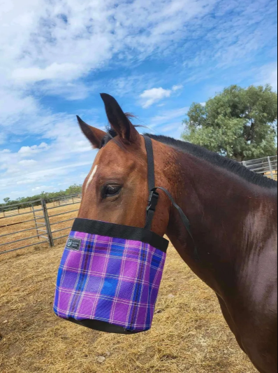 Nose Bag (Horse Feed) - Ultramesh & Canvas Base