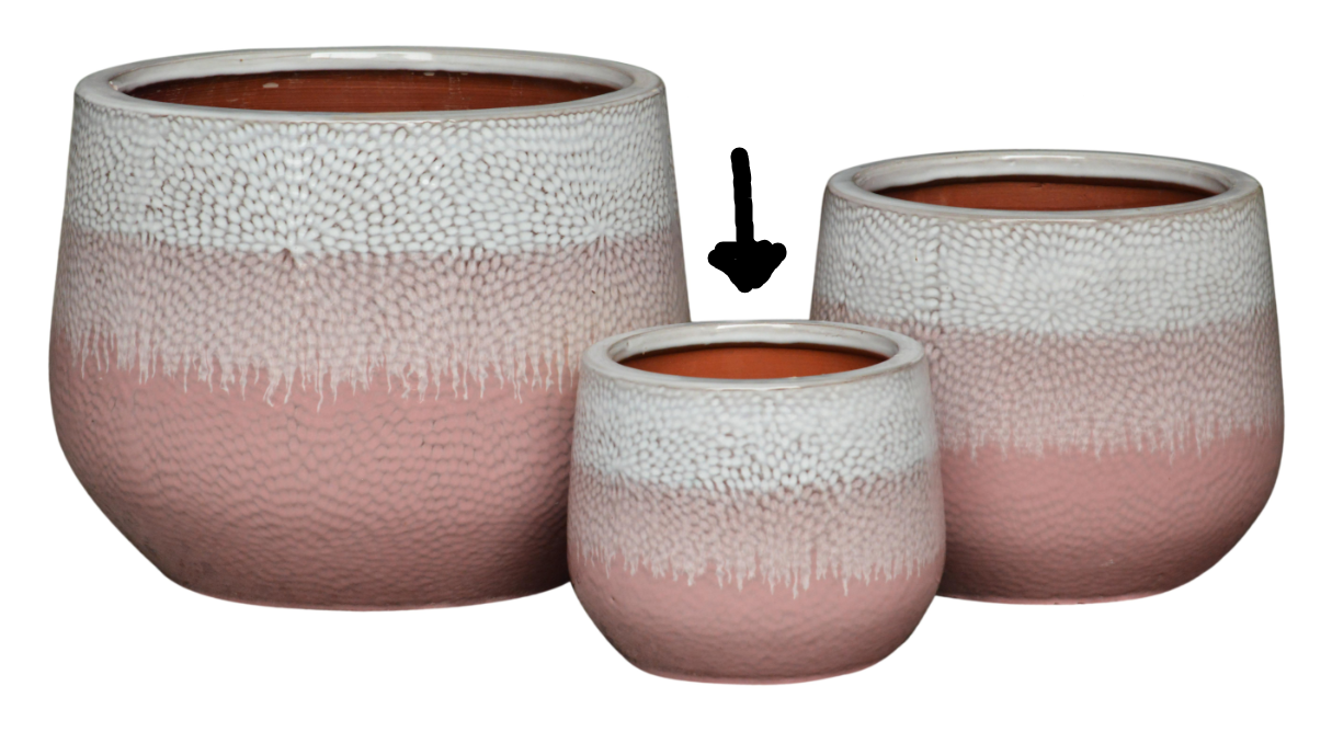 Image of (2/3) Glazed Salmon Cosmo 2 Tone Pot 25x21cm(H)