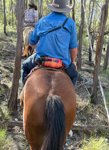 Image of Waterbottle Holder Saddle/Motorbike