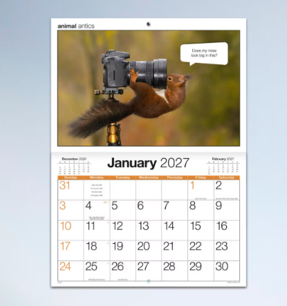 *PREORDER Animal Antics Stitched Calender