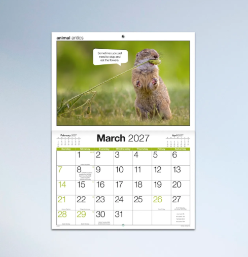 *PREORDER Animal Antics Stitched Calender