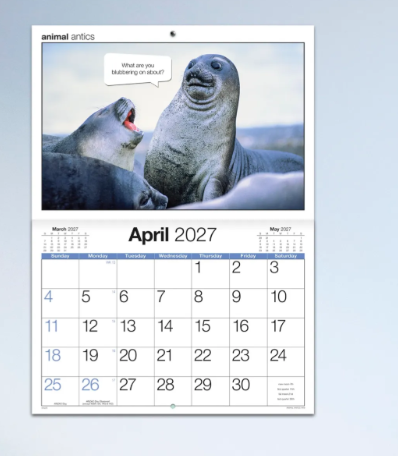 *PREORDER Animal Antics Stitched Calender