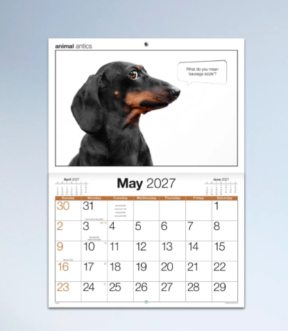 *PREORDER Animal Antics Stitched Calender