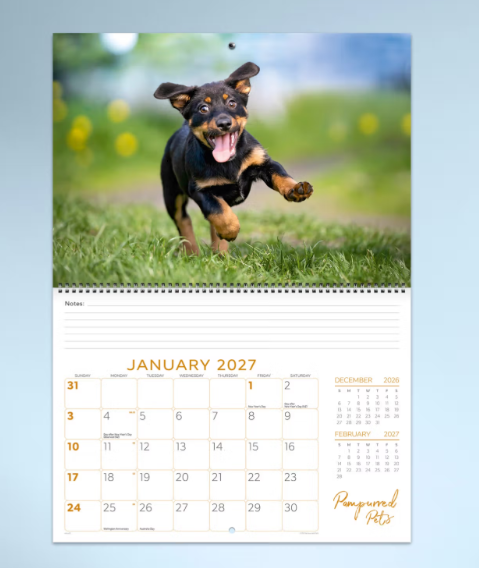 *PREORDER Pampurred Pets Calender