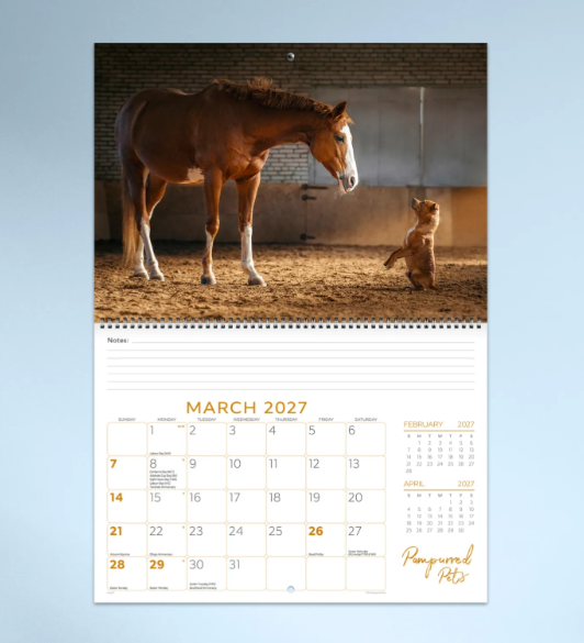 *PREORDER Pampurred Pets Calender