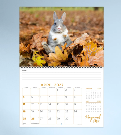 *PREORDER Pampurred Pets Calender