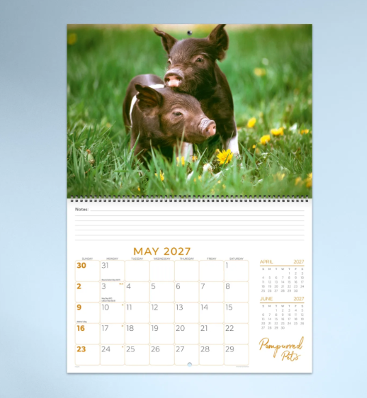 *PREORDER Pampurred Pets Calender