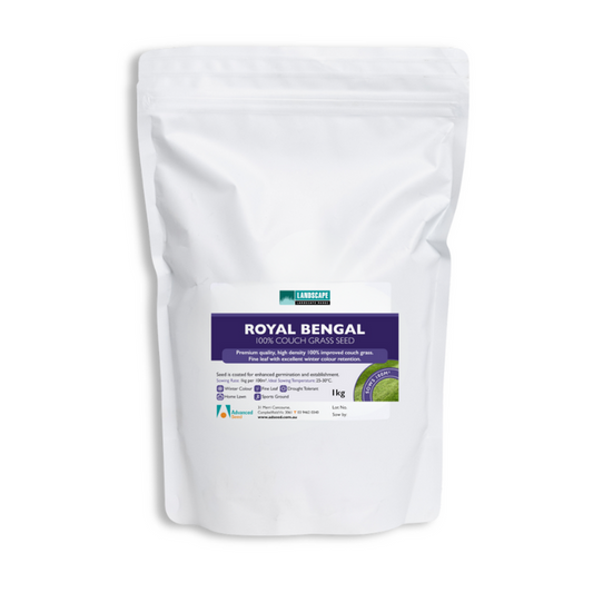1kg Couch Seed