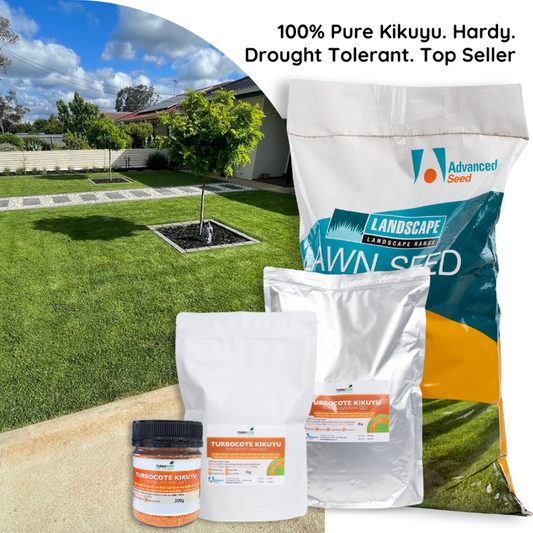 200g Kikuyu Lawn Seed