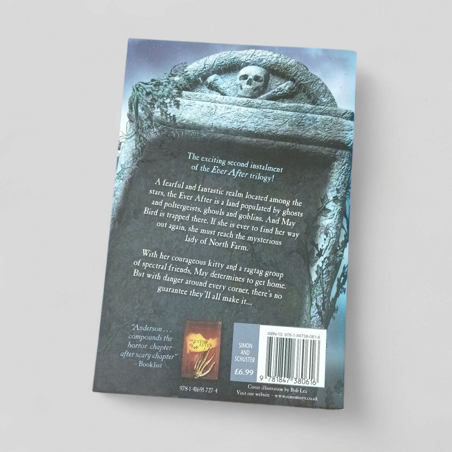 Image of Among the Stars by Jodi Lynn Anderson