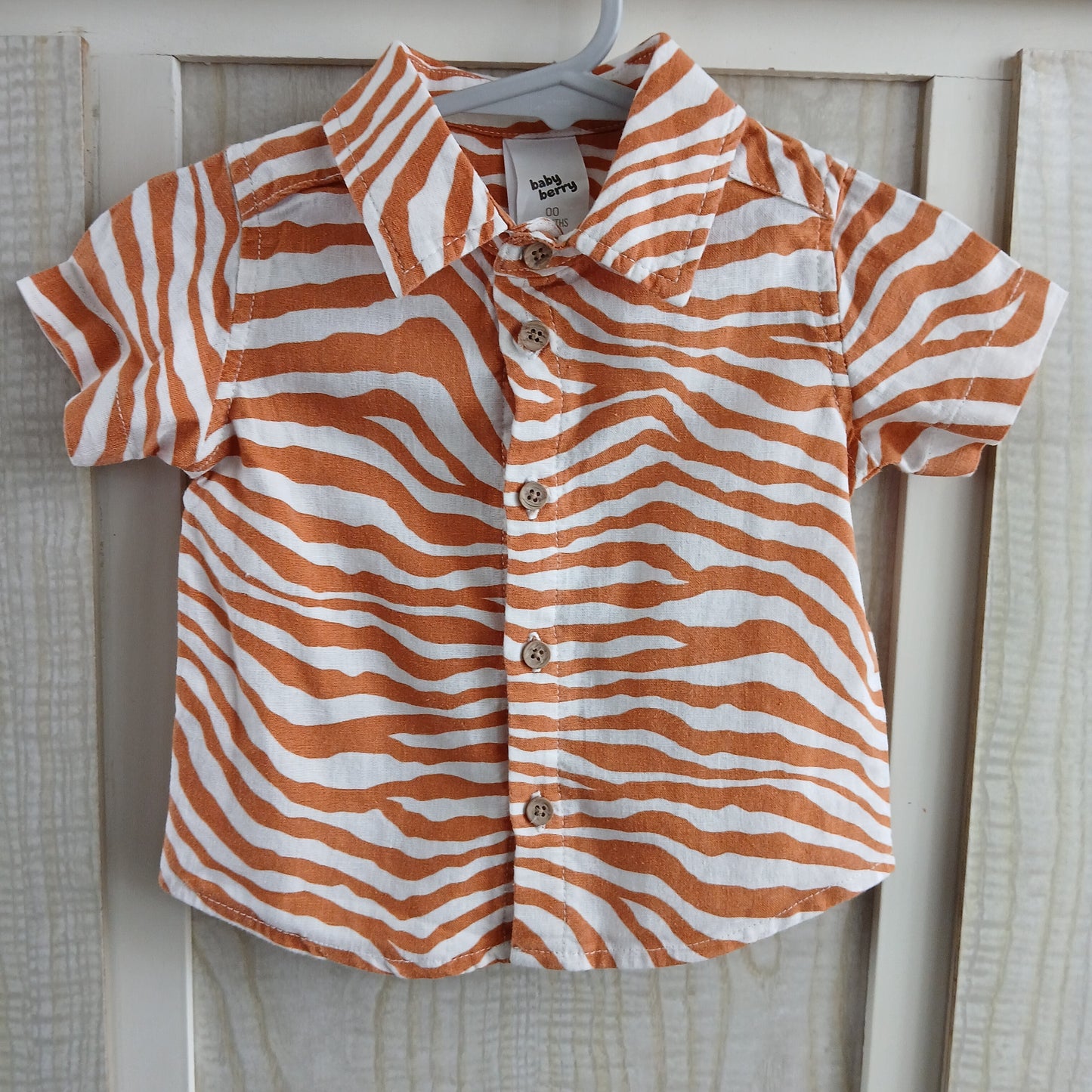 (00) Baby Berry Striped Collared Button Up