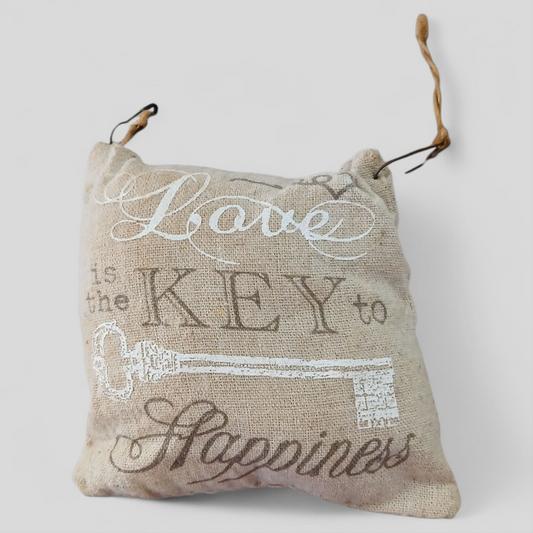 Love is the Key Mini Pillow