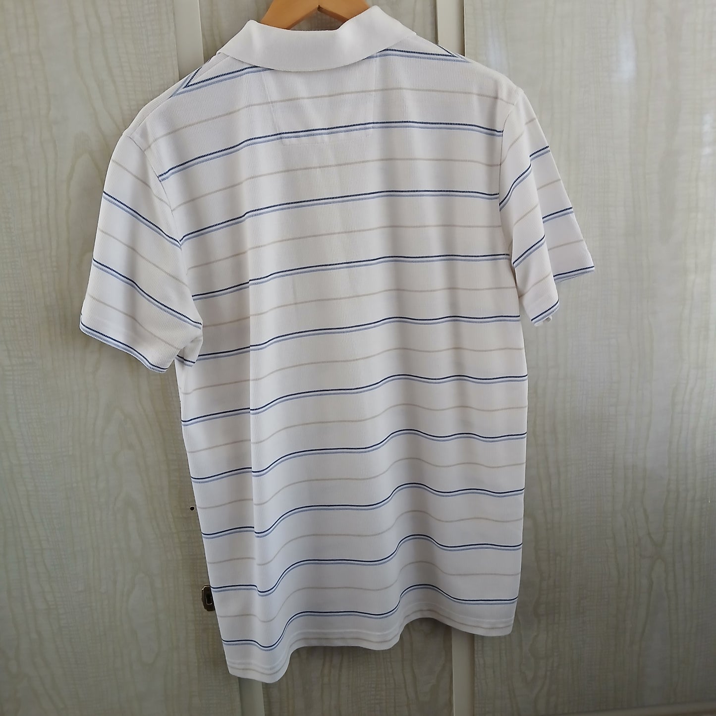 (L) Blue Horizon Striped Polo