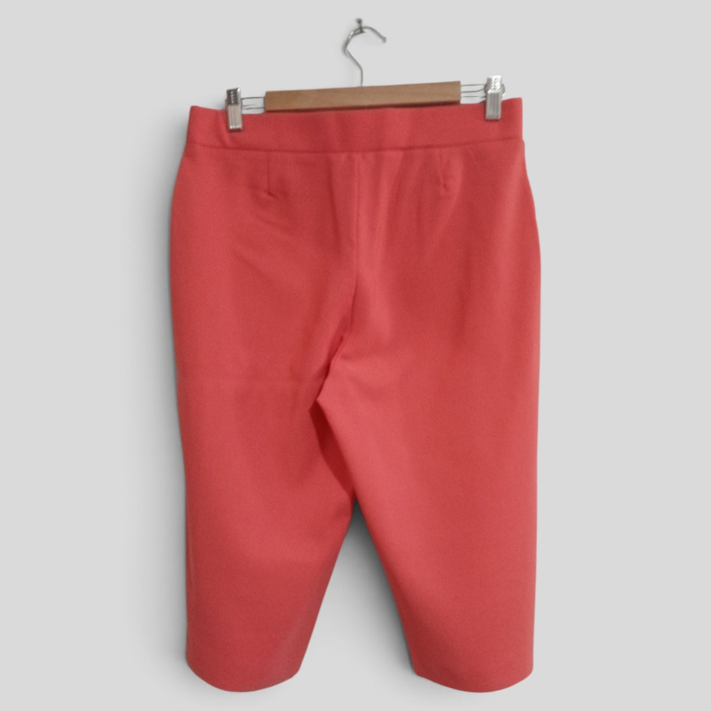 (12) Millers | Pink/Coral Embroidered Shorts