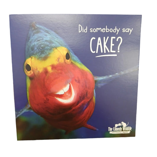 Birthday Card |  Humour/Fish - Did somebody say cake?