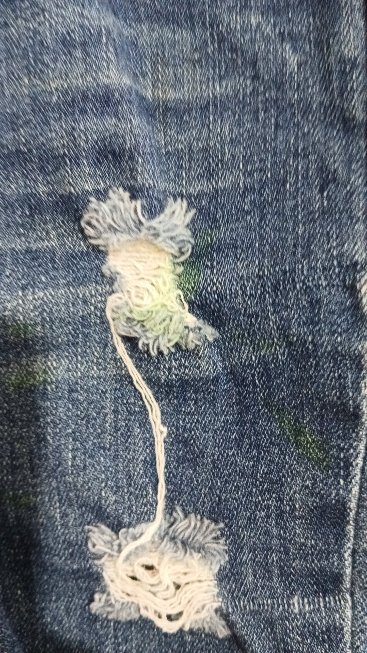 (2JNR) Breakers | Denim Shorts