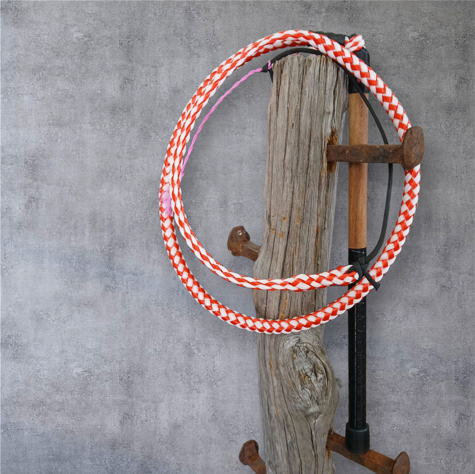 Image of Ski Rope Stock Whips
