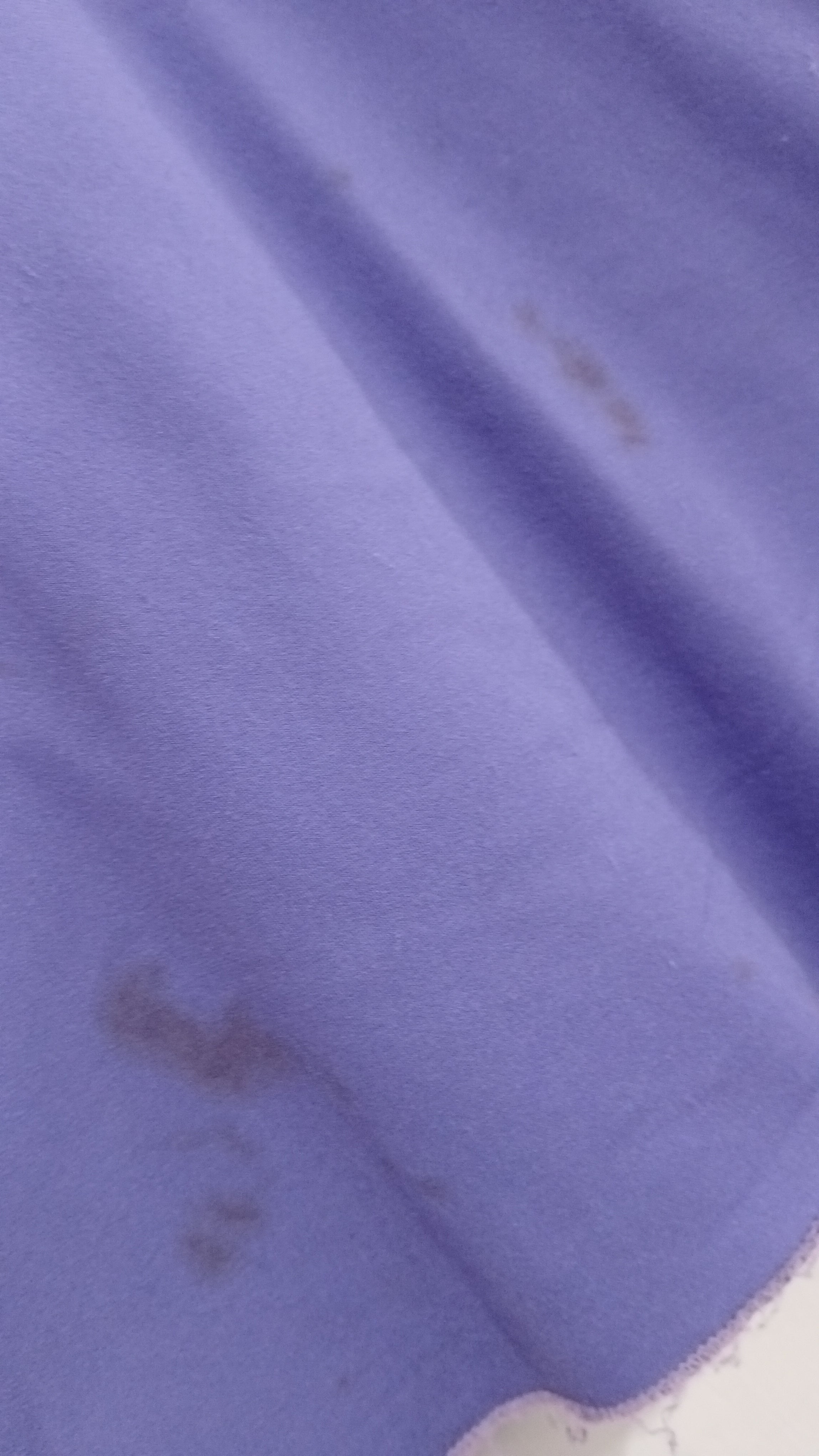 Image of (14JNR) Speedo | Purple Rashie