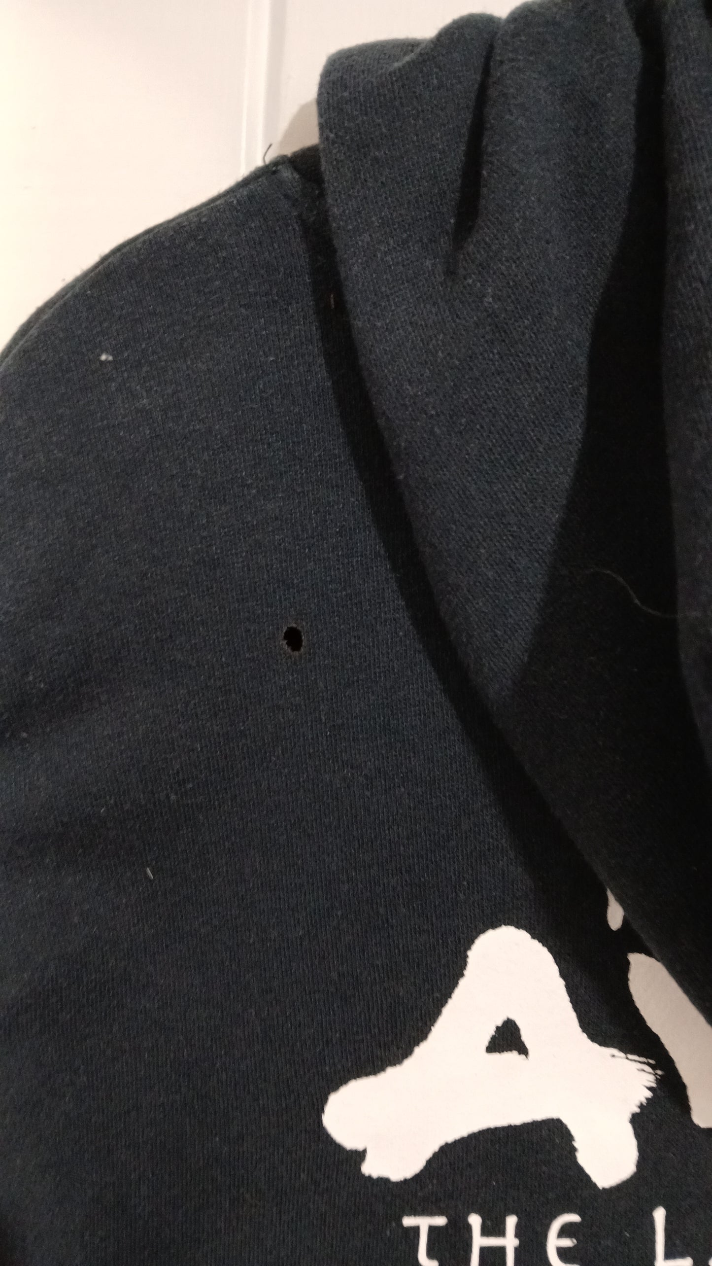(XL) Avatar | Hoodie